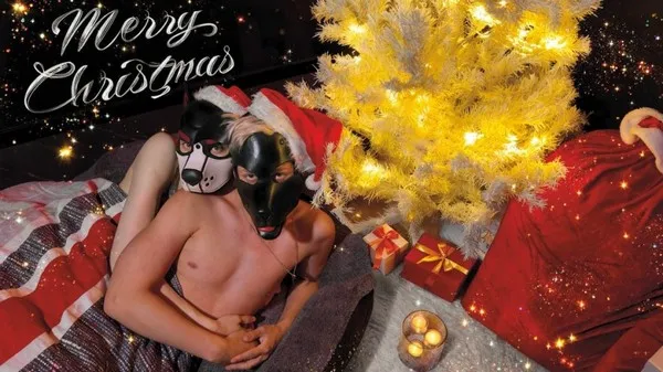 Santa Knows You’re Naughty – Pup Anubis, Pup Zephi