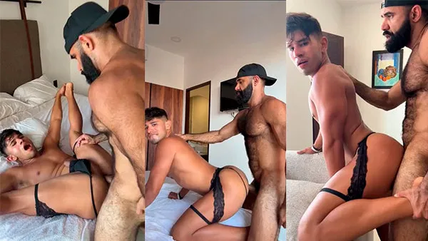 Persian Alpha Wolf & Aguilar Lopez